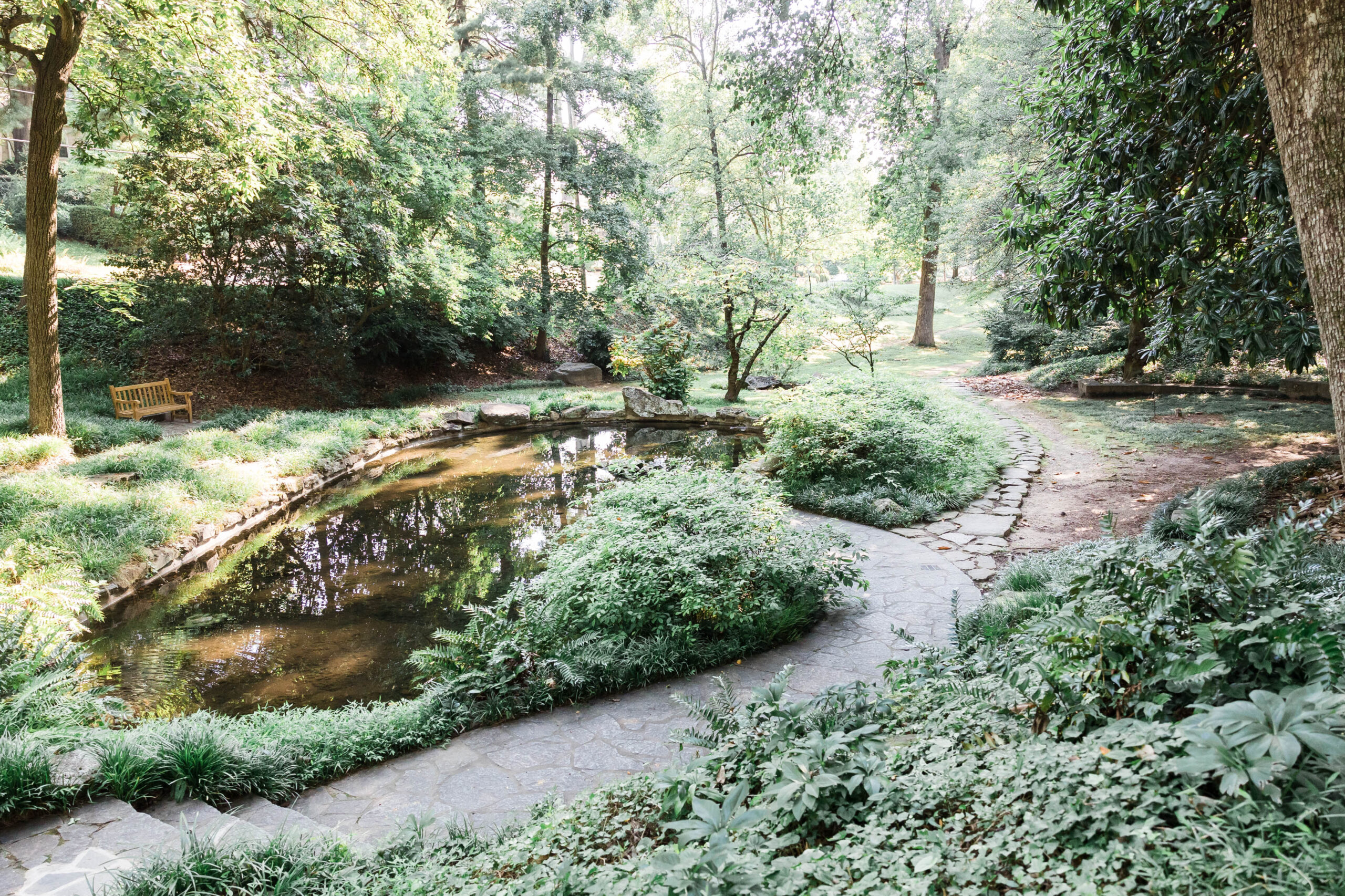 pond with trees surrounding it